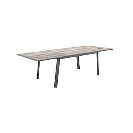 Table de jardin extensible 10 places