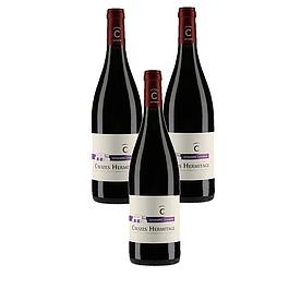 3 Crozes Hermitage 2021 Domaine Combier BIO